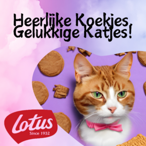 Koekjes voor katjes