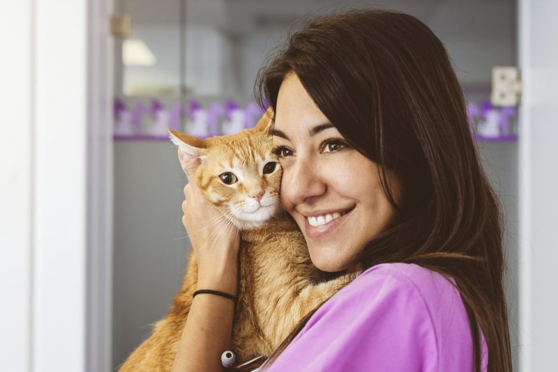 veterinarian-doctor-hugging-a-little-cat-1-1